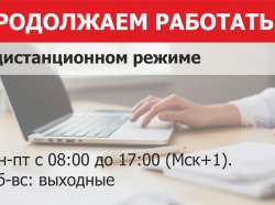 График работы в дистанционном режиме.